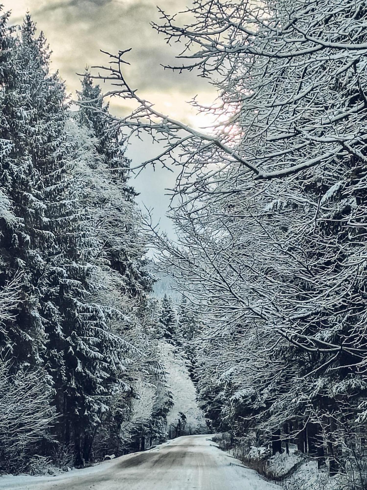 Beskidzki Domek Kurow Villa Kurow  Екстериор снимка