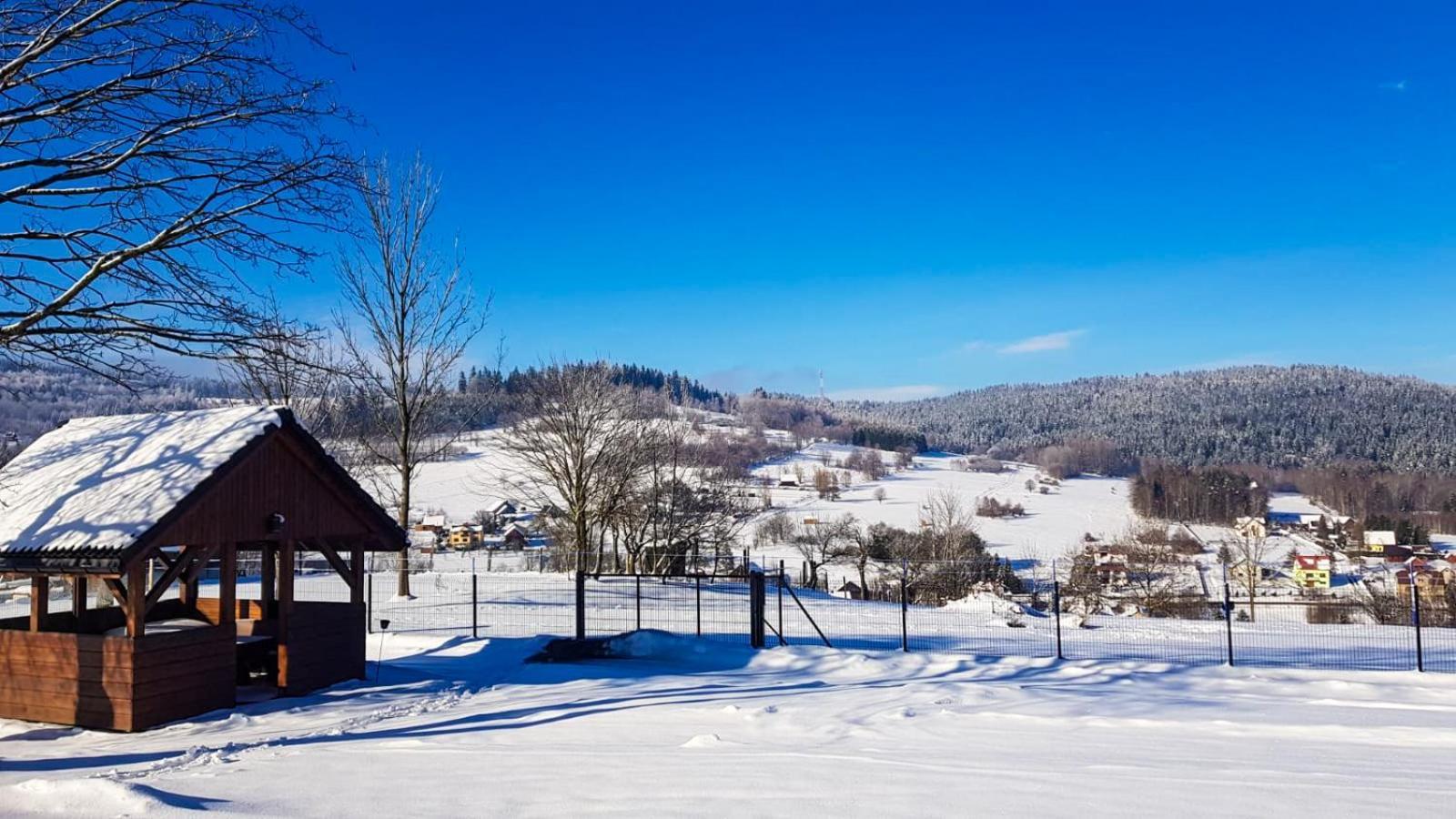 Beskidzki Domek Kurow Villa Kurow  Екстериор снимка