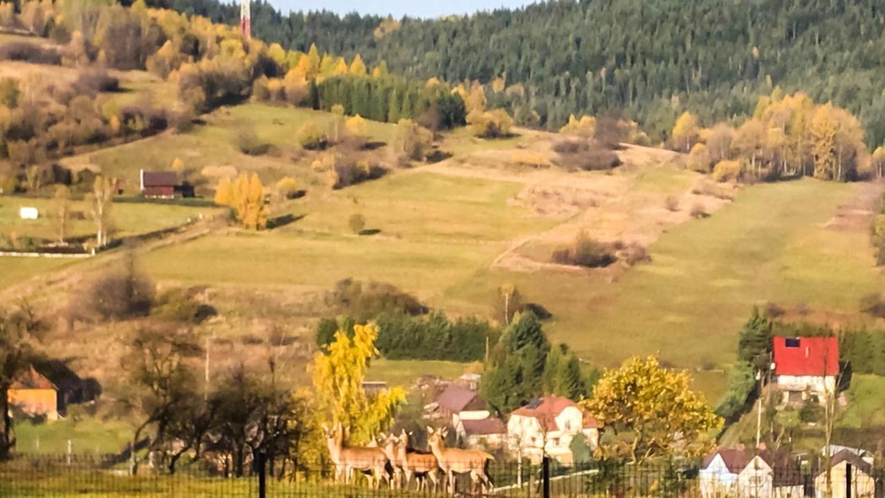 Beskidzki Domek Kurow Villa Kurow  Екстериор снимка